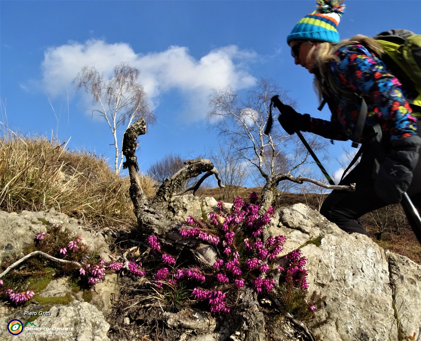 59 L'erica in fiore ci accompagna salendo a vista in Corna Bianca.JPG -                                